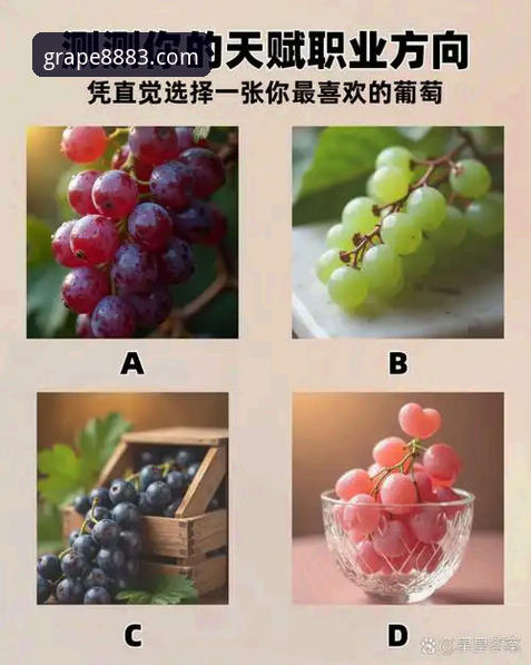 新葡萄特色平台深度评测：从下载到安装的全流程体验报告